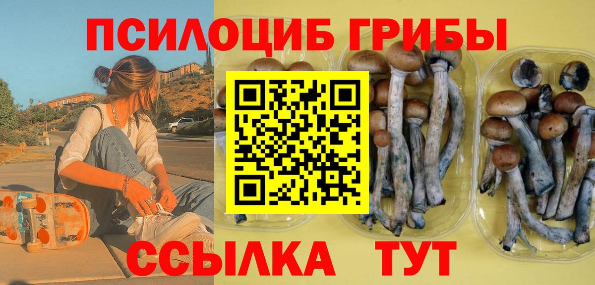 Псилоцибиновые грибы MAGIC MUSHROOMS Таганрог